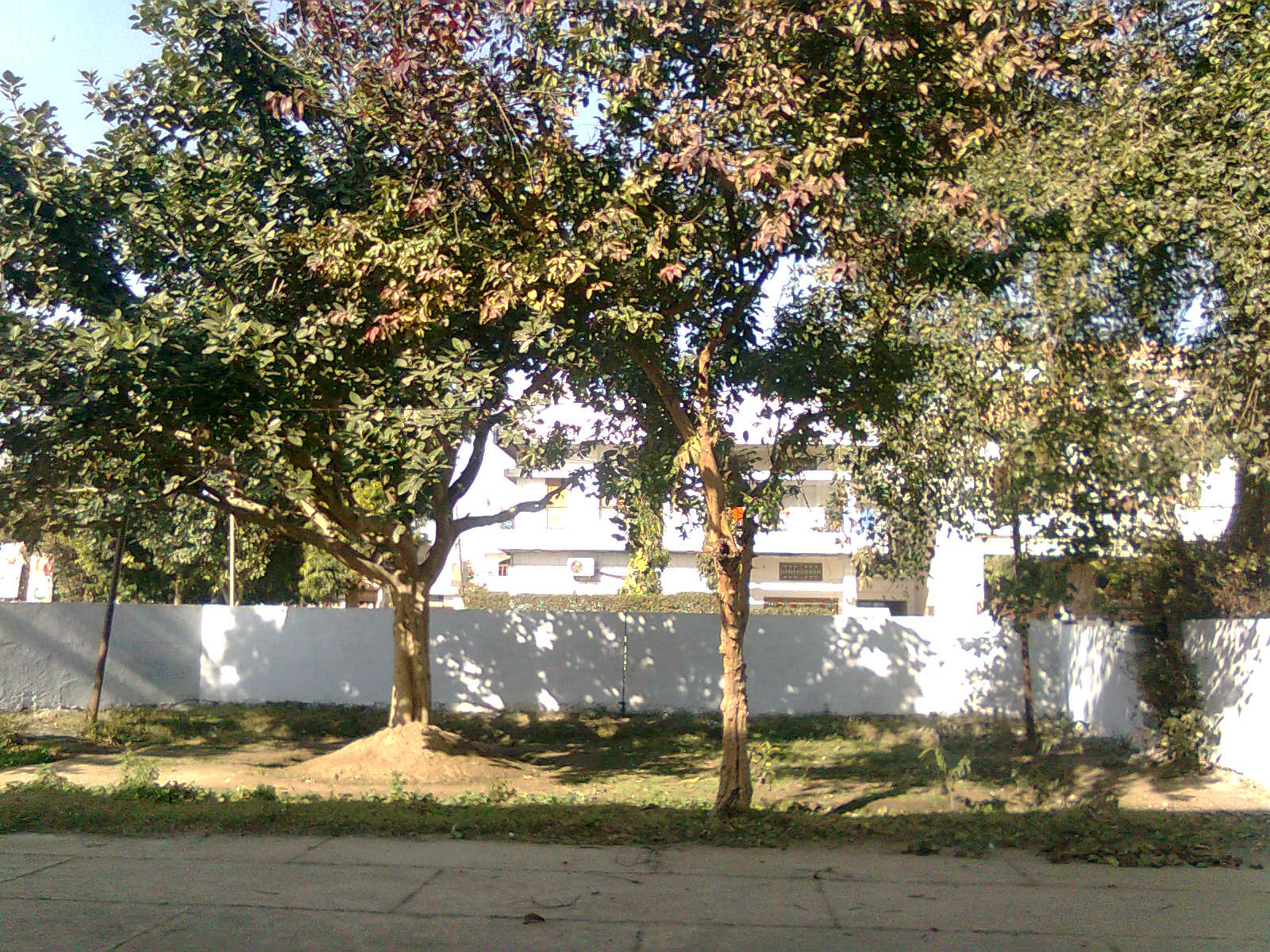 Lawn, District Library, Jind